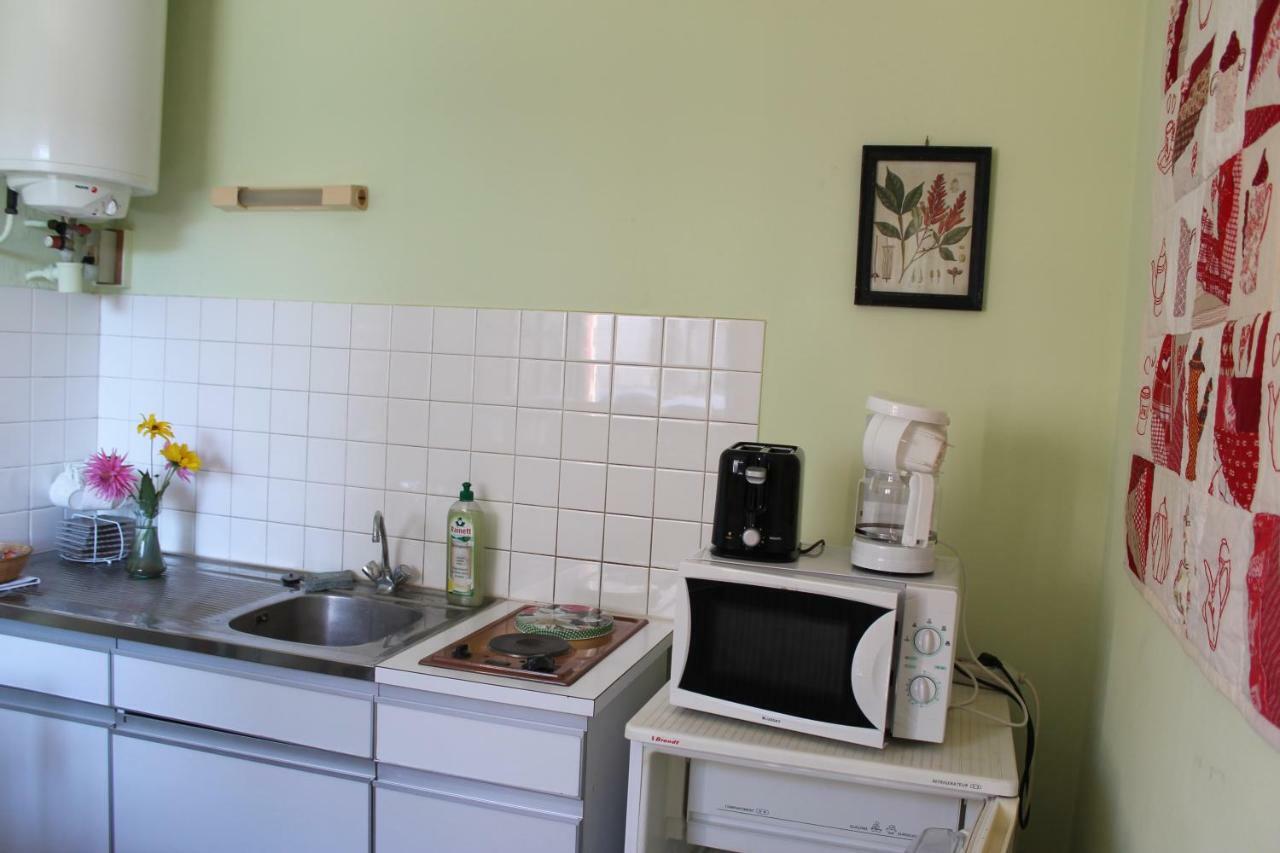 Appartement Val De Saone Seurre Ngoại thất bức ảnh